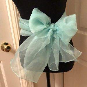 ❤️CHIFFON SASH❤️